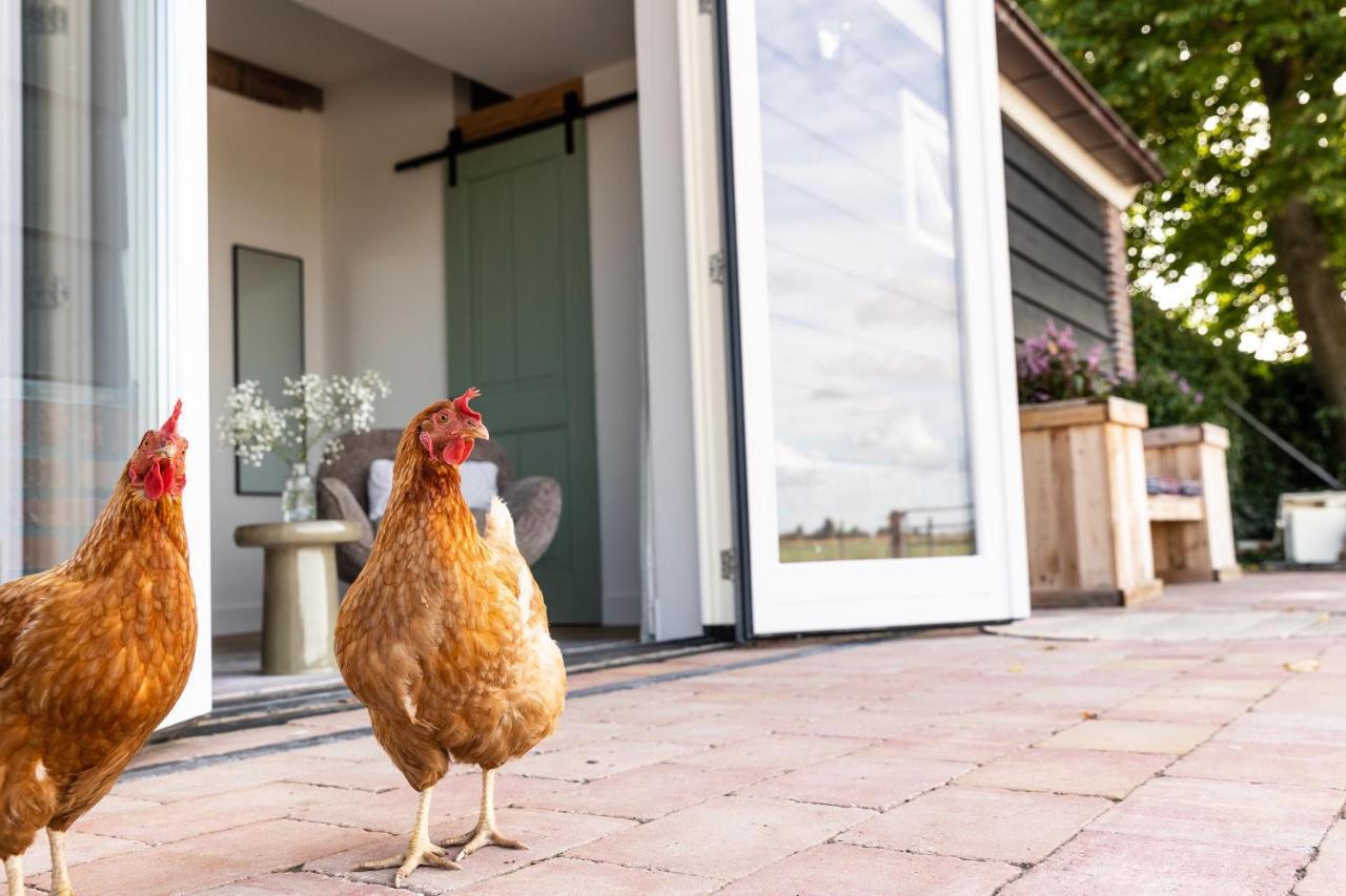 De Zuiderstolp Bed & Breakfast Zuidermeer Luaran gambar